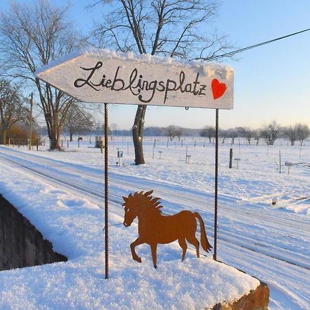Ferienwohnung Auf Pferdehof Dreetz Екстер'єр фото