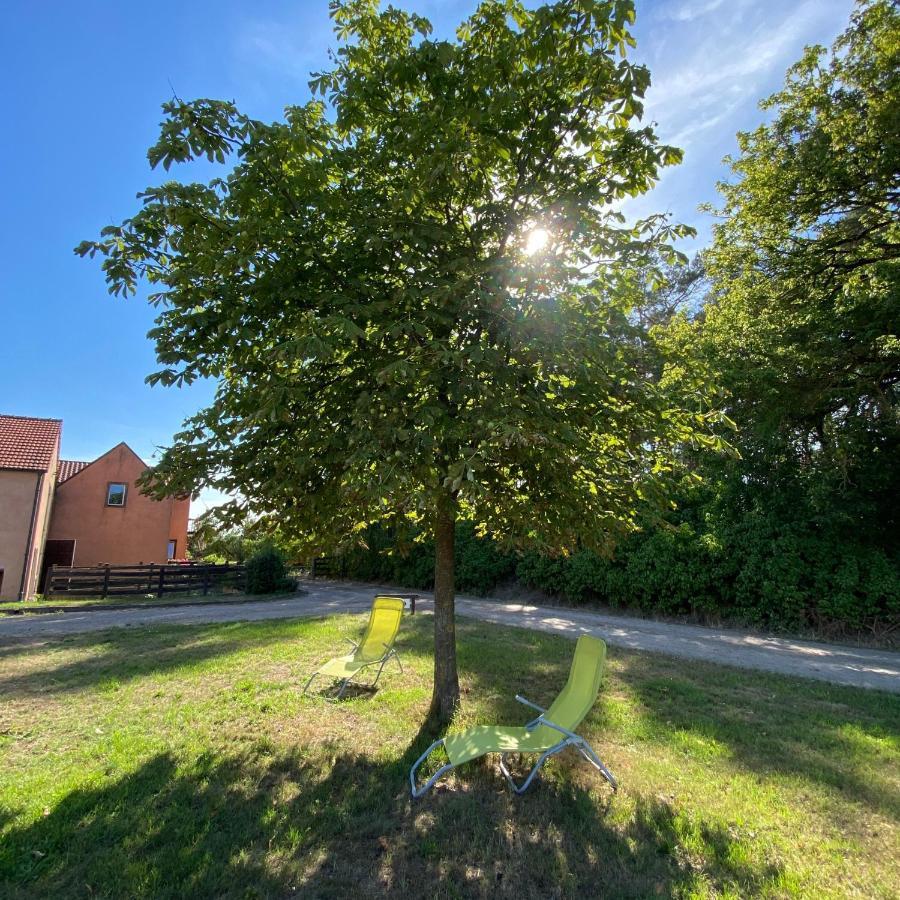 Ferienwohnung Auf Pferdehof Dreetz Екстер'єр фото